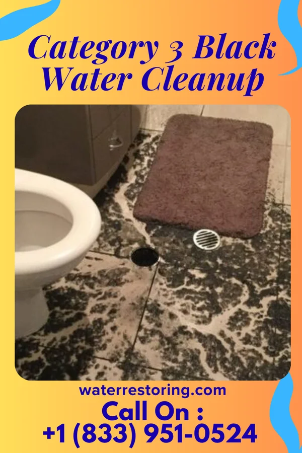 Category 3 Black Water Cleanup in Lake Clarke Shores, FL