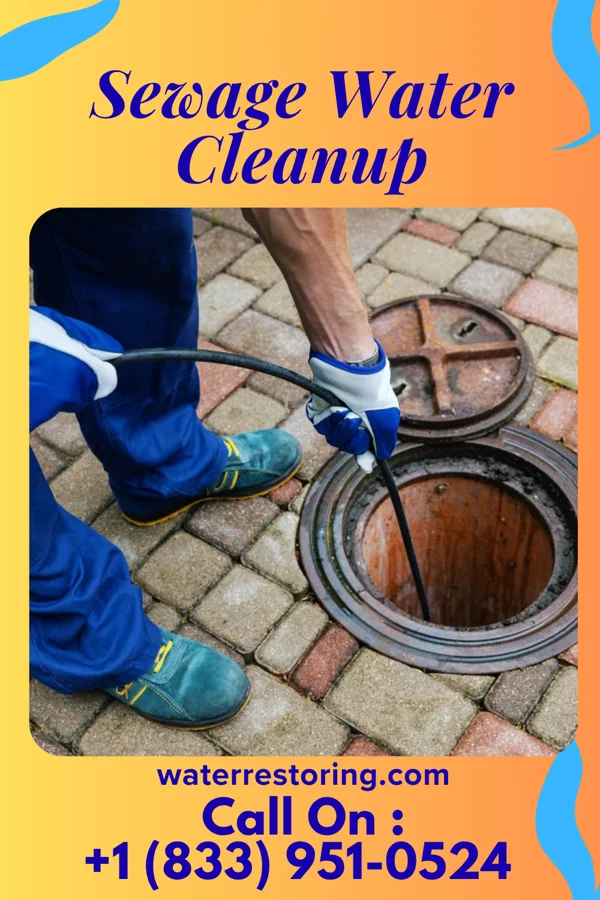 Sewage Water Cleanup in Lake Clarke Shores, FL